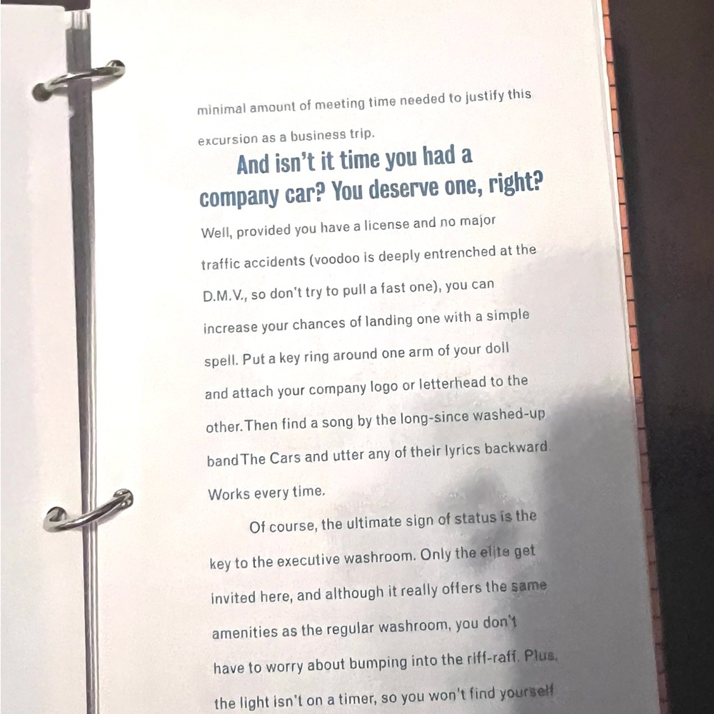 VOODOO LOU’s Office Voodoo Kit  Humorous Instruction Manual and Voodoo Doll Incl - Picture 8 of 14